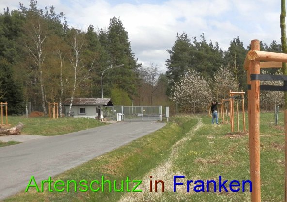 Bild zum Eintrag (45863-160)