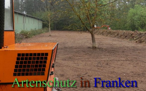 Copyright AiS- Albert Meier Bild zum Eintrag (46339-160)