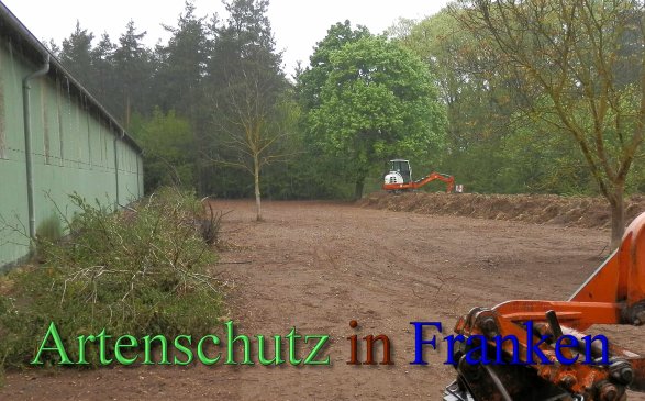 Copyright AiS- Albert Meier Bild zum Eintrag (46340-160)