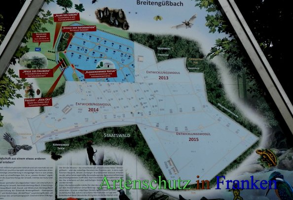 Copyright AiS- Albert Meier Bild zum Eintrag (46516-160)