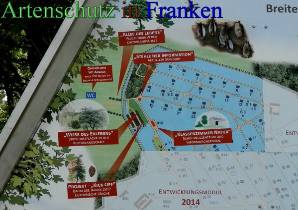 Copyright AiS- Albert Meier Bild zum Eintrag (46517-160)
