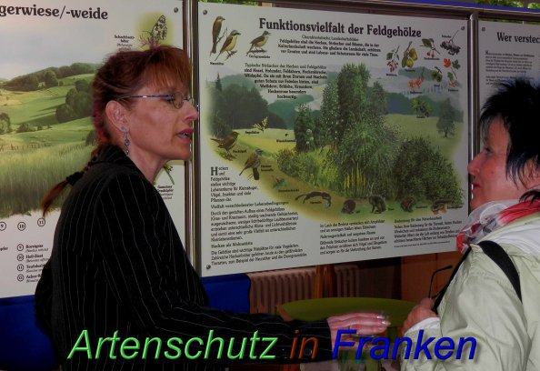 Copyright AiS- Albert Meier Bild zum Eintrag (46601-160)