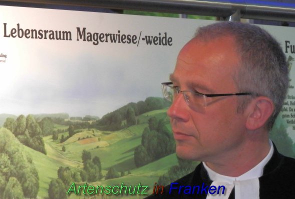 Copyright AiS- Albert Meier Bild zum Eintrag (46608-160)