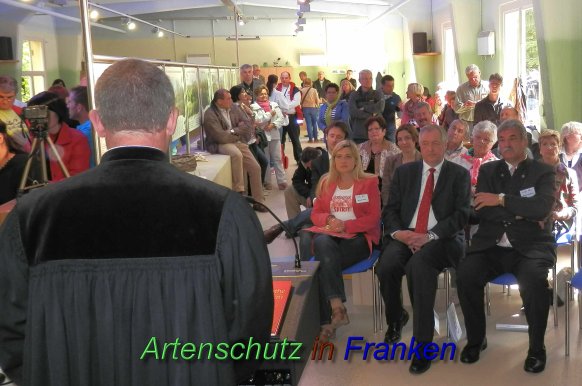 Copyright AiS- Albert Meier Bild zum Eintrag (46609-160)