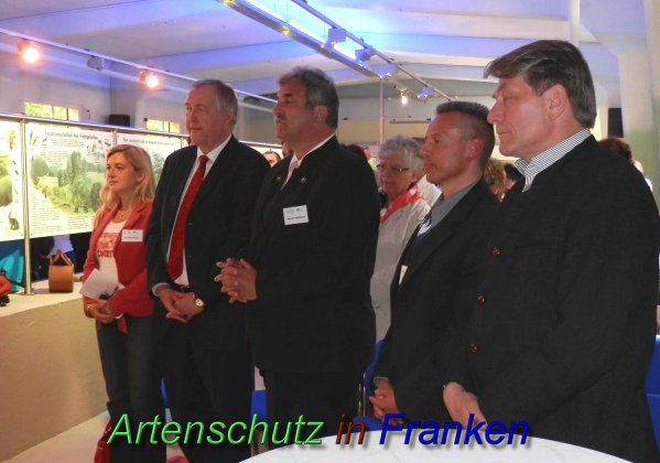 Copyright AiS- Albert Meier Bild zum Eintrag (46610-160)