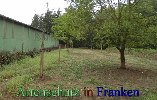 Bild zum Eintrag (47748-160)