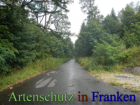 Bild zum Eintrag (48662-160)