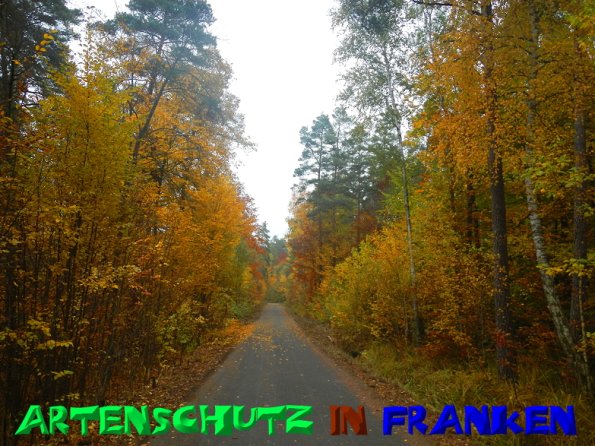 Bild zum Eintrag (51202-160)