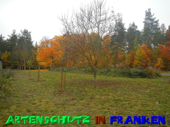 Bild zum Eintrag (51206-160)