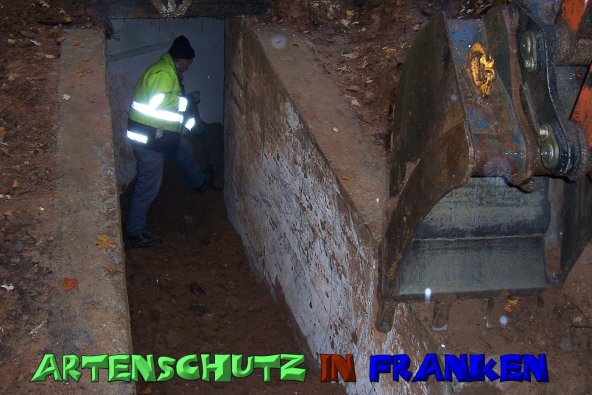 Copyright AiS Neubauer Bild zum Eintrag (51581-160)