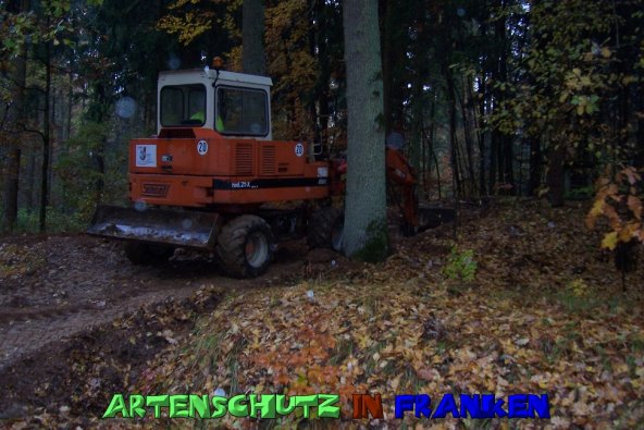 Copyright AiS Neubauer Bild zum Eintrag (51582-160)