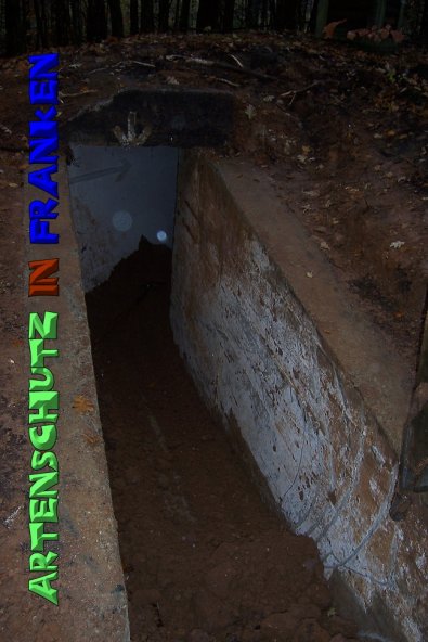 Copyright AiS Neubauer Bild zum Eintrag (51587-160)