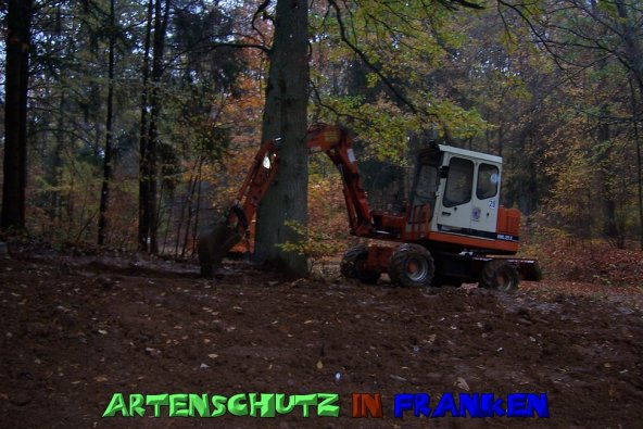Copyright AiS Neubauer Bild zum Eintrag (51588-160)