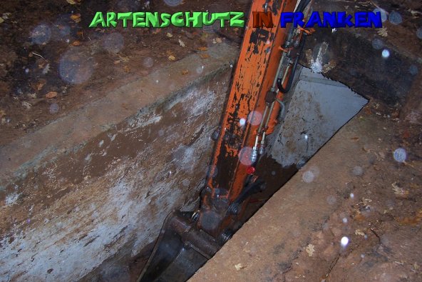 Copyright AiS Neubauer Bild zum Eintrag (51589-160)