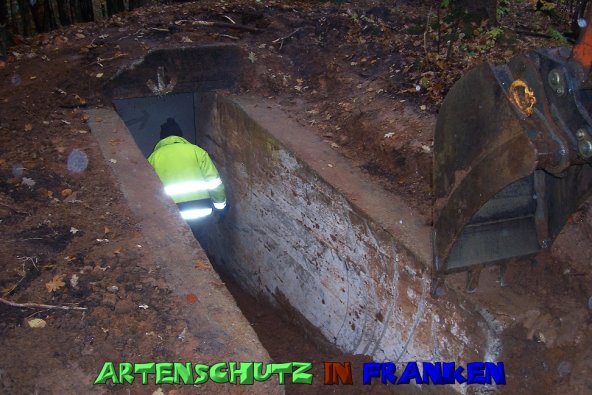 Copyright AiS Neubauer Bild zum Eintrag (51591-160)