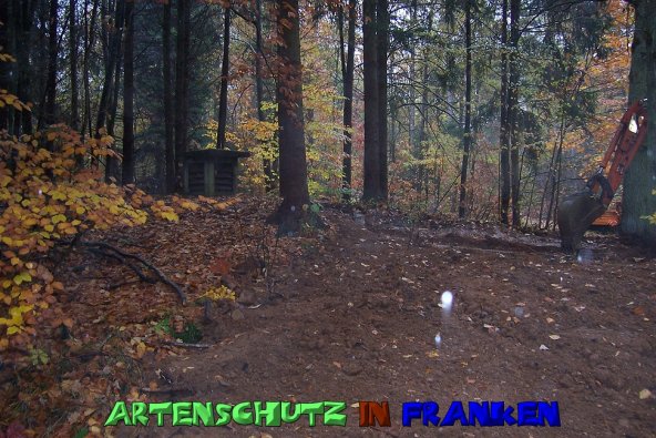 Copyright AiS Neubauer Bild zum Eintrag (51592-160)