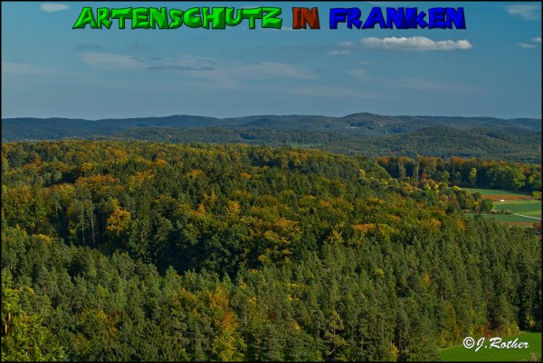 Copyright AiS-Johannes Rother Bild zum Eintrag (52733-160)
