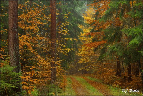 Copyright AiS-Johannes Rother Bild zum Eintrag (52734-160)