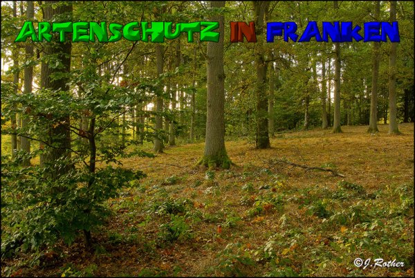 Copyright AiS-Johannes Rother Bild zum Eintrag (52735-160)