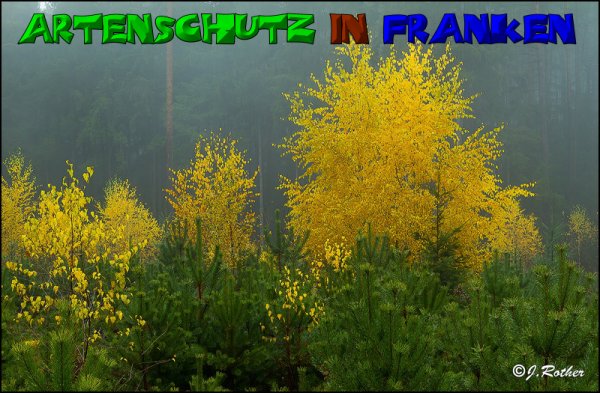 Copyright AiS-Johannes Rother Bild zum Eintrag (52742-160)
