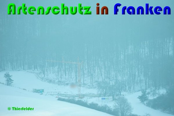 Copyright AiS Thierfelder Bild zum Eintrag (53712-160)
