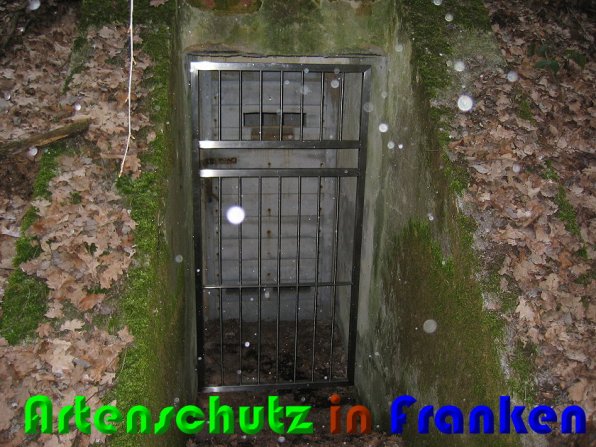 Copyright AiS Zuerl Bild zum Eintrag (54865-160)