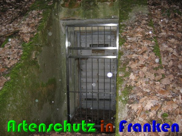 Copyright AiS Zuerl Bild zum Eintrag (54867-160)