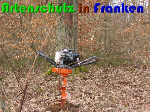 Copyright AiS Zuerl Bild zum Eintrag (54868-160)