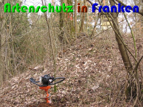 Copyright AiS Zuerl Bild zum Eintrag (54869-160)