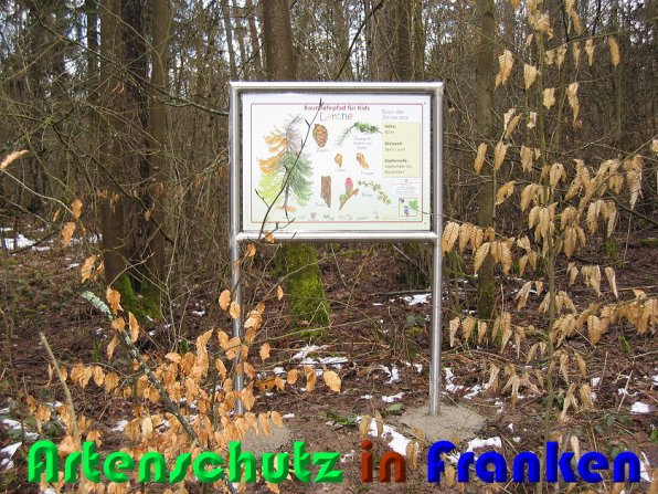Bild zum Eintrag (55085-160)