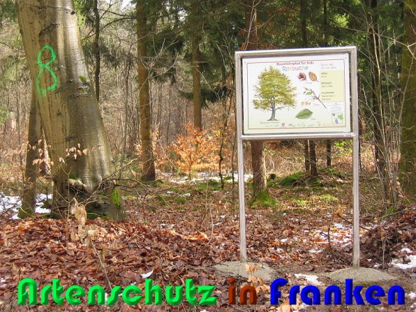 Bild zum Eintrag (55086-160)