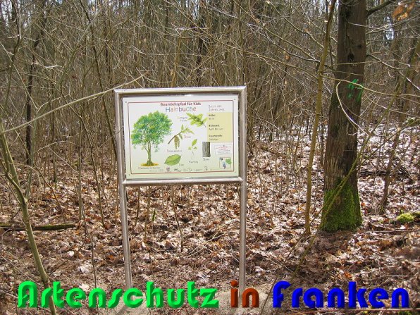 Bild zum Eintrag (55087-160)