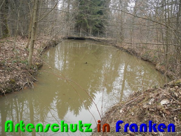 Bild zum Eintrag (56356-160)