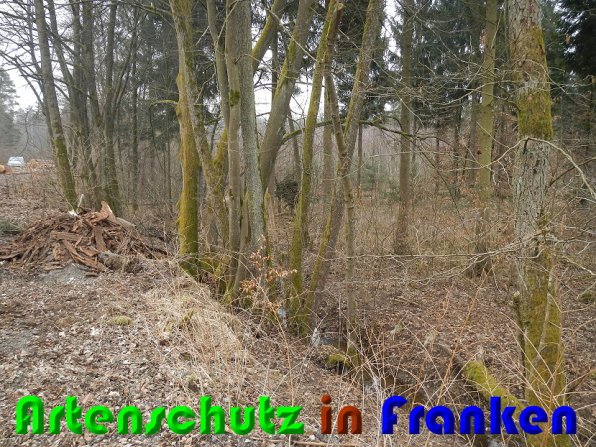 Bild zum Eintrag (56364-160)