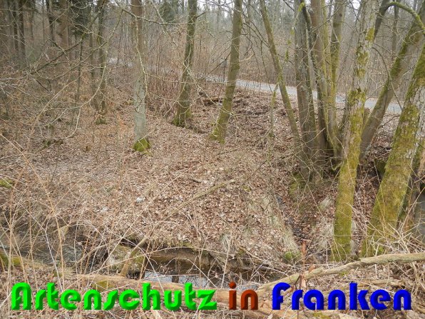 Bild zum Eintrag (56365-160)