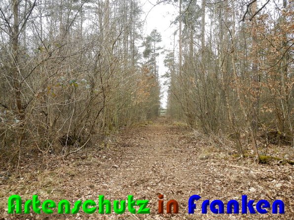 Bild zum Eintrag (56376-160)