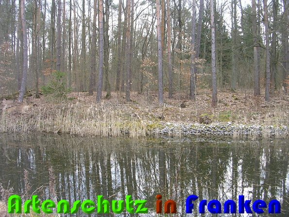 Copyright AiS Christina Ding Bild zum Eintrag (57053-160)