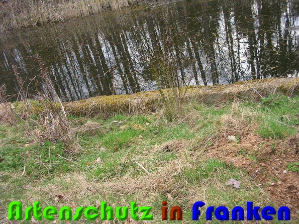 Copyright AiS Christina Ding Bild zum Eintrag (57055-160)