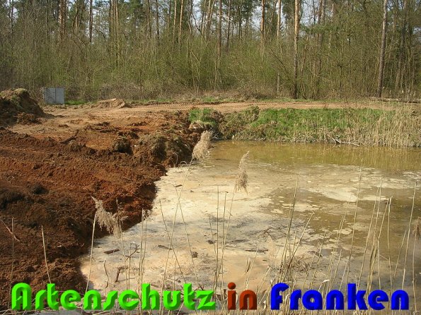 Copyright AiS Christina Ding Bild zum Eintrag (57060-160)