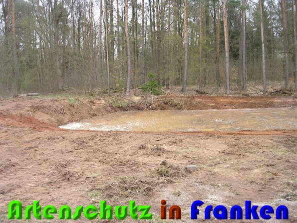 Copyright AiS Christina Ding Bild zum Eintrag (57063-160)