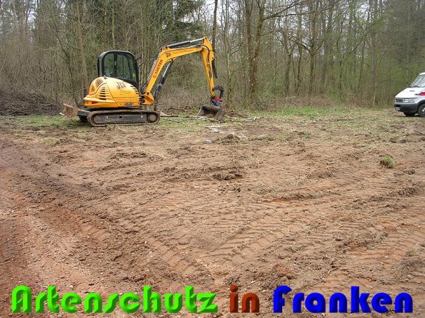 Copyright AiS Christina Ding Bild zum Eintrag (57065-160)