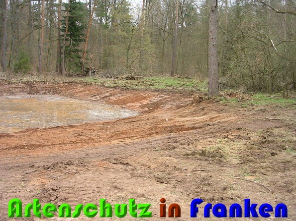 Copyright AiS Christina Ding Bild zum Eintrag (57068-160)