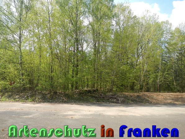 Bild zum Eintrag (57396-160)