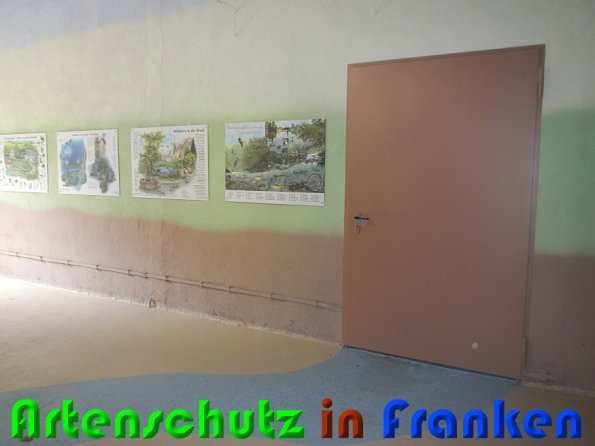 Copyright AiS Schaller Bild zum Eintrag (57905-160)