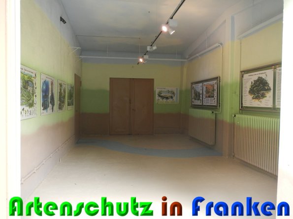 Copyright AiS Schaller Bild zum Eintrag (57906-160)
