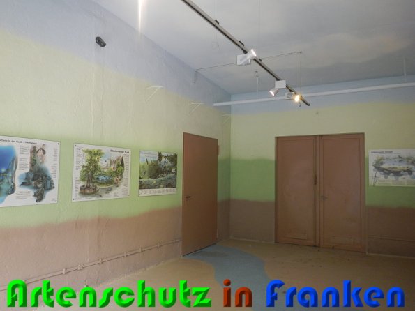 Copyright AiS Schaller Bild zum Eintrag (57907-160)