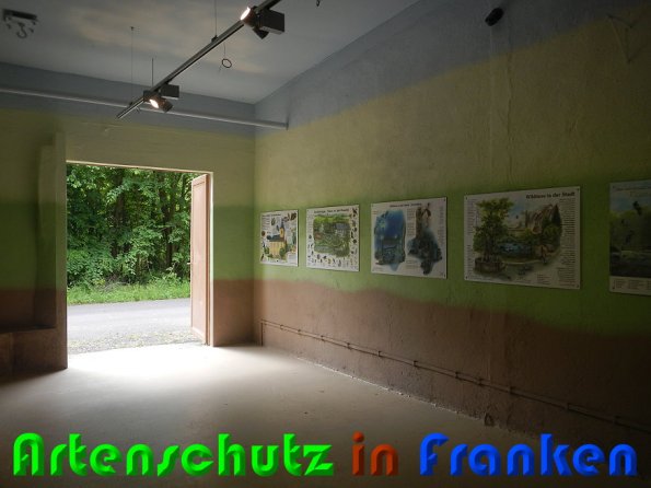 Copyright AiS Schaller Bild zum Eintrag (57909-160)