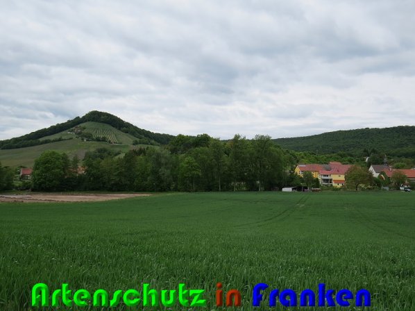 Bild zum Eintrag (58154-160)