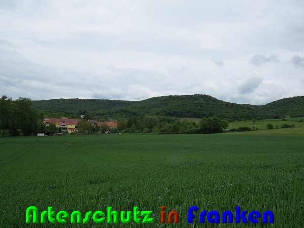 Bild zum Eintrag (58155-160)