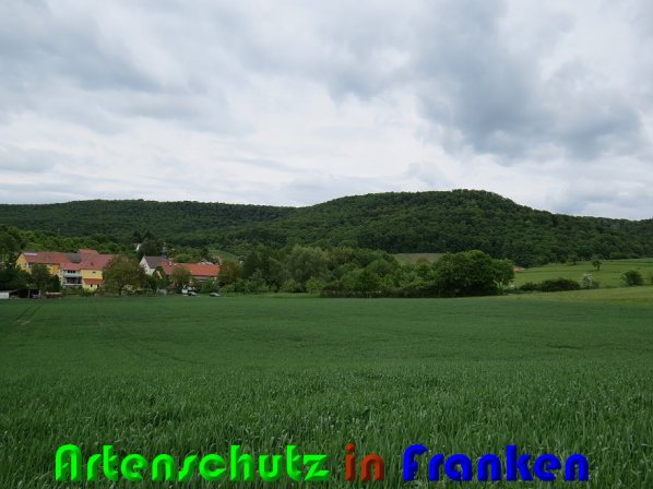 Bild zum Eintrag (58156-160)